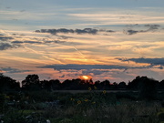 15th Sep 2021 - Sunset Over Sunflowers