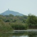 Glastonbury Tor from Ham Wall by cam365pix