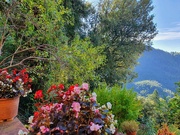 21st Sep 2021 - Flowery View of Valley
