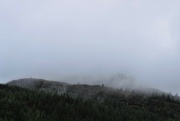 23rd Sep 2021 - Scotch mist