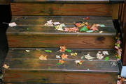 24th Sep 2021 - colorful change at your porch steps