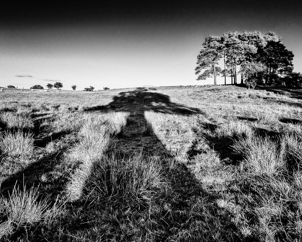 Long Shadow by iqscotland