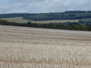 24th Sep 2021 - Bircher common from the rape stubble at the end of the garden