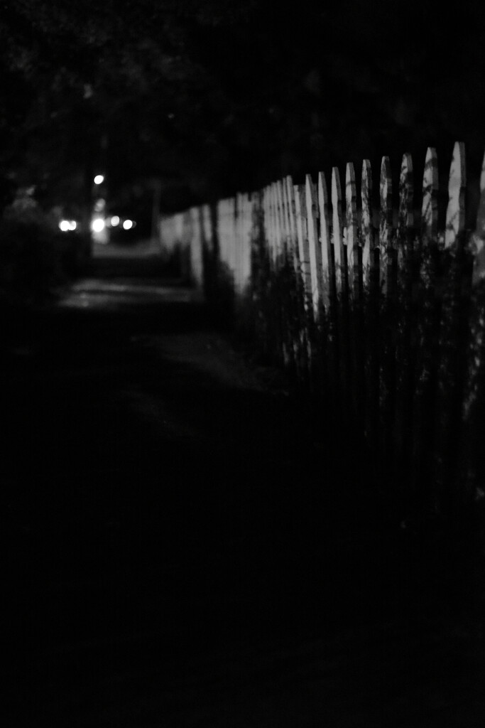 Night walking, by joysabin