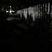 Night walking, by joysabin