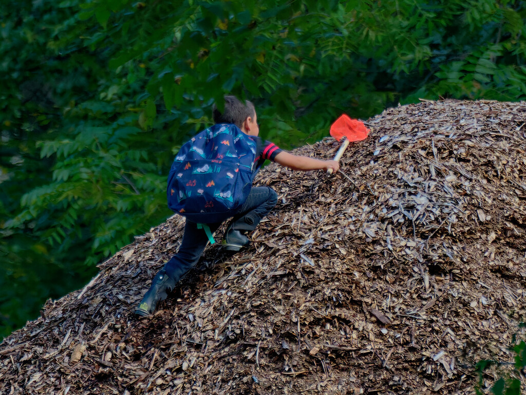 Climbing a mountain of wood chips by rminer