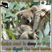 Digestion is hard work by koalagardens