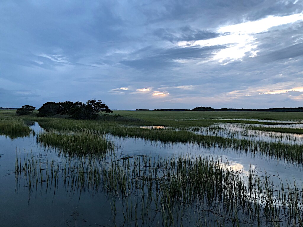 Marsh just before sunset by congaree