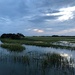 Marsh just before sunset by congaree