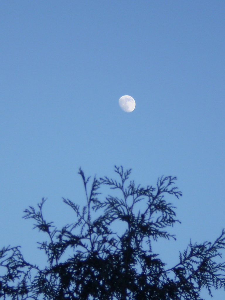 moon over danforth by summerfield