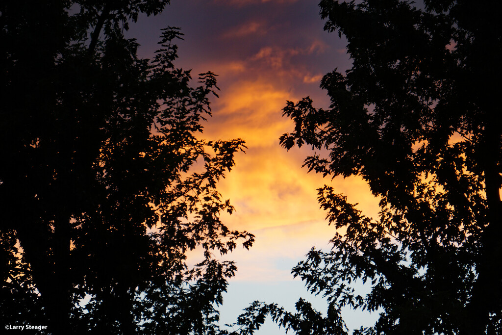 Fall sunset. by larrysphotos