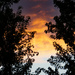 Fall sunset. by larrysphotos