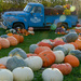 Pumpkin farms by danette