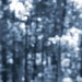 Cyanotyped... by marlboromaam
