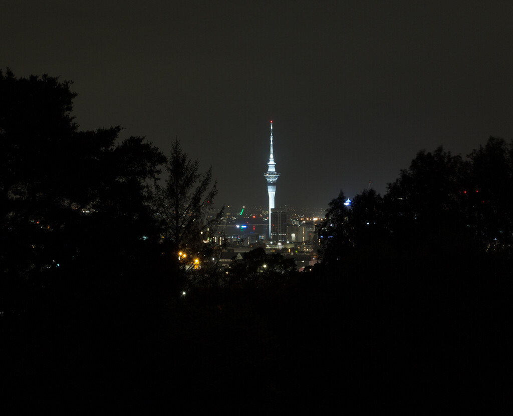 Climbing up MT Eden at night by creative_shots