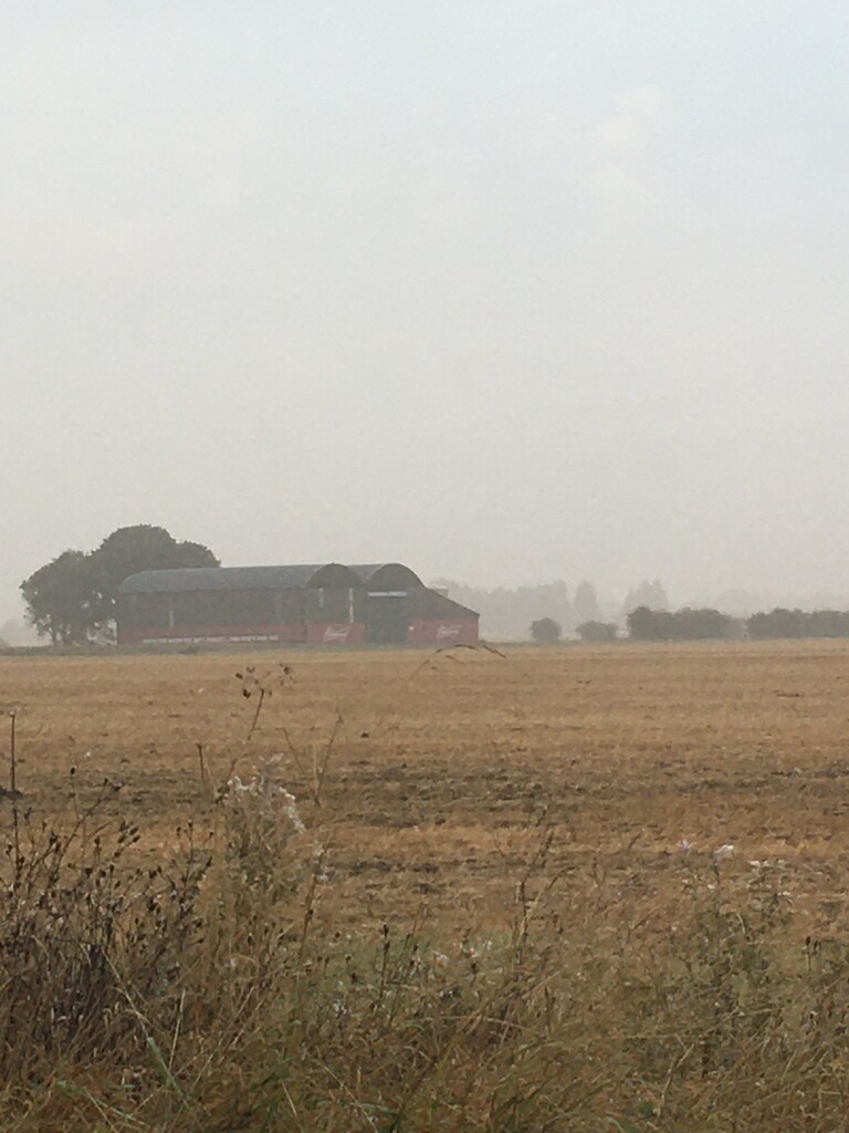 Misty morning across the farm by 365anne