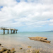 Murrays Bay -Nice day for some photos by creative_shots