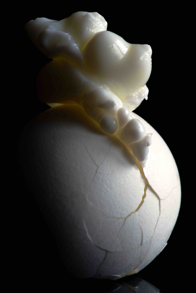 Egg-splosive by moonbi