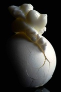 26th Sep 2021 - Egg-splosive