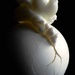 Egg-splosive by moonbi