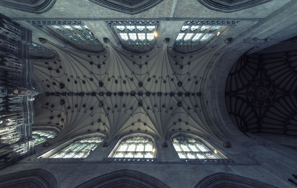 The ceiling at Winchester Cathedral by rumpelstiltskin
