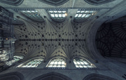 16th Sep 2021 - The ceiling at Winchester Cathedral