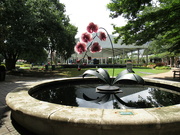 21st Sep 2021 - Atlanta Botanical Gardens
