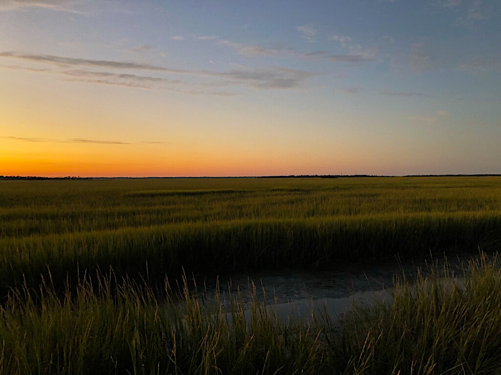 Minimalist marsh sunset last night by congaree