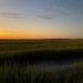 Minimalist marsh sunset last night by congaree