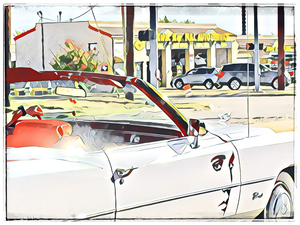 The Elvis Cadillac convertible by louannwarren