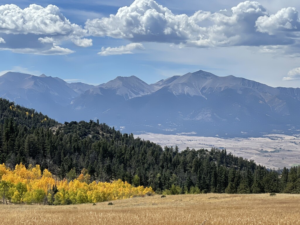 Aspen Ridge and Mt Princeton, Colorado by dianefalconer