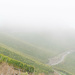 Moselle vineyards by djepie