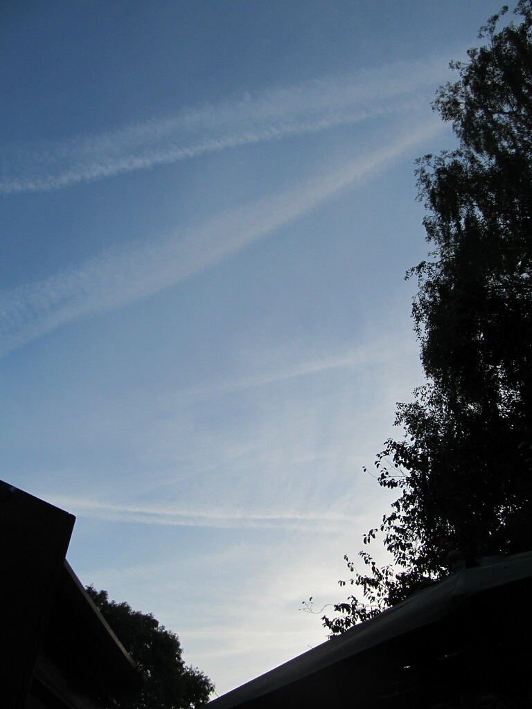Vapour trails are back! by speedwell