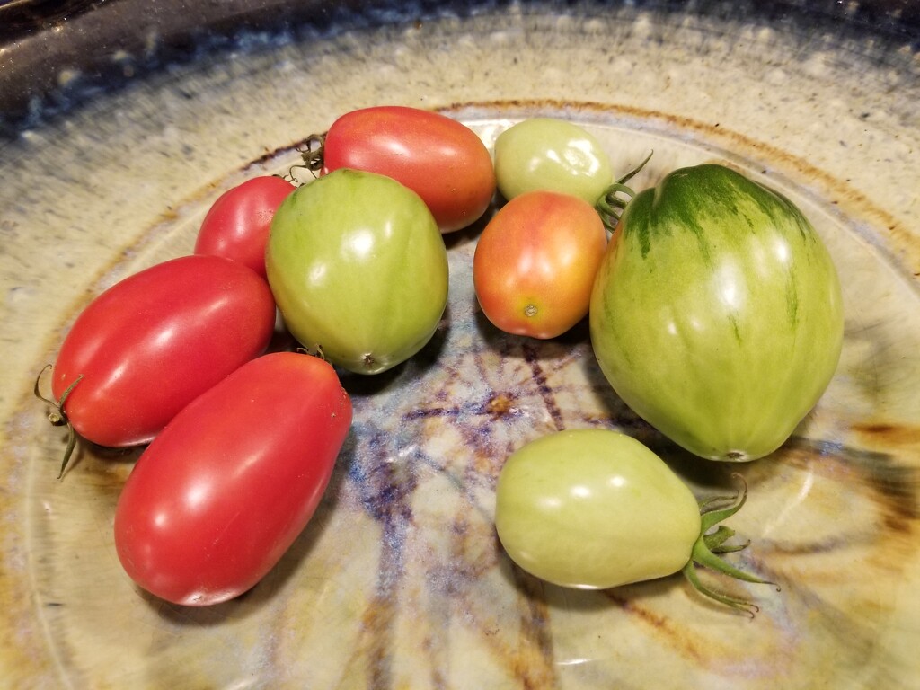 Tomatoes from a Friend by kimmer50