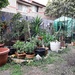 Garden Renovation  by mozette
