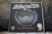 17th Jan 2011 - Let's Go Mets!