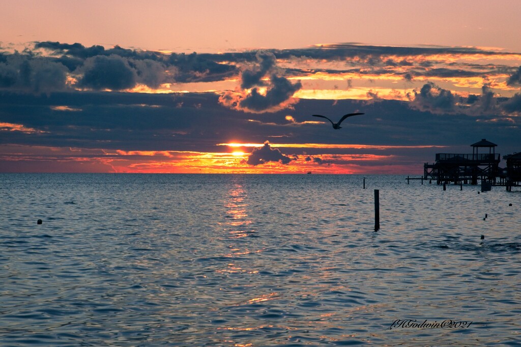 LHG-9988- Sunset at Pelican point by rontu
