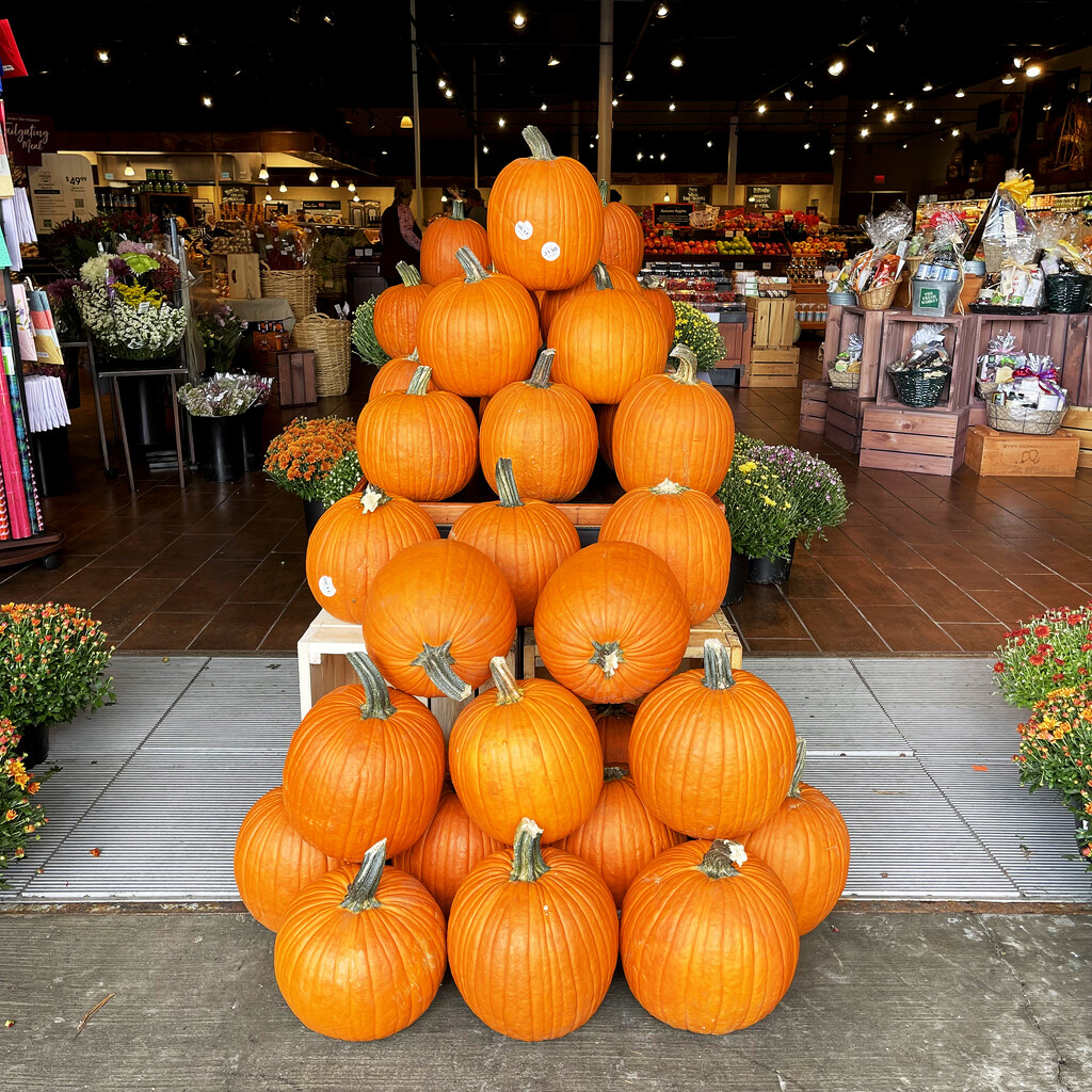 The Fresh Market Pumpkin Display by yogiw