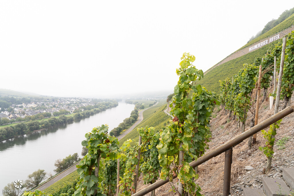 Steepest vineyards of the world by djepie