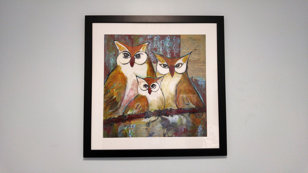 Owl family... by marlboromaam