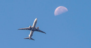 28th Sep 2021 - Fly Me to the Moon!!