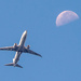 Fly Me to the Moon!! by rickster549