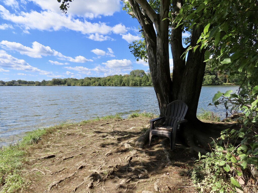 Sitting in the shade  by kimhearn