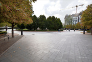 27th Sep 2021 - Autumn snapshot on Freedom Square