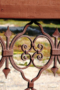 29th Sep 2021 - A detail of the fence