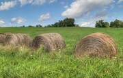 29th Sep 2021 - Bales of hay