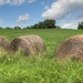 Bales of hay by mittens