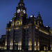 0929 - Liver Building at night by bob65