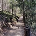 Trail by sugarmuser