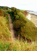 30th Sep 2021 - The Cliff Steps.